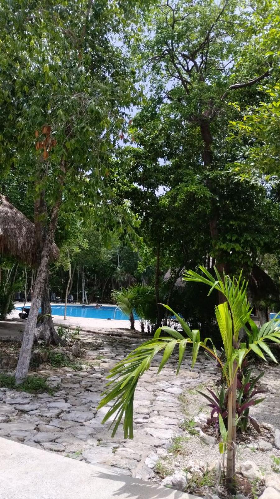 Foto Terreno en Venta en Residencial Punta Vista, Puerto Morelos, Quintana Roo - $ 1.000.000 - TEV355676 - BienesOnLine