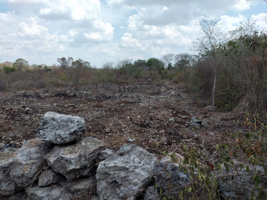 Foto Terreno en Venta en Tixcuytun, Tixcuytun, Yucatan - $ 7.195.000 - TEV301918 - BienesOnLine