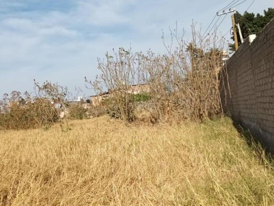 Foto Terreno en Venta en San Gaspar, Tonalá, Jalisco - $ 480.000 - TEV354587 - BienesOnLine