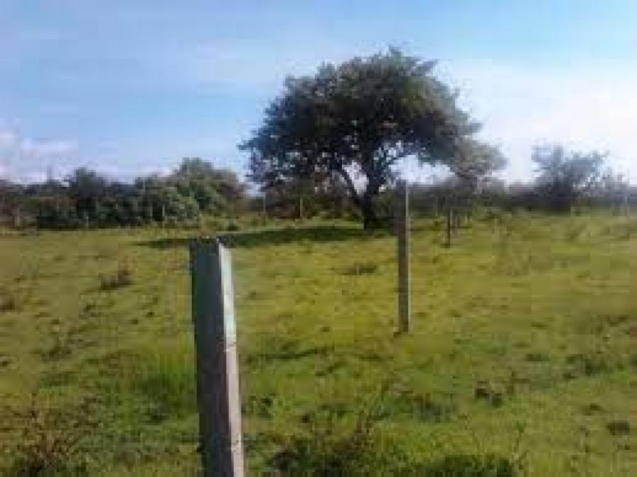 terreno en venta en atoyac de alvarez