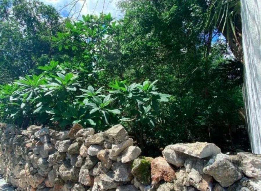 Foto Terreno en Venta en CHUBURNA DE HIDALGO, Mrida, Yucatan - $ 400.000 - TEV294760 - BienesOnLine