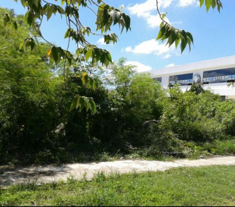 Foto Terreno en Venta en CHUMINOPOLIS, MERIDA, Yucatan - $ 1.925.000 - TEV299760 - BienesOnLine