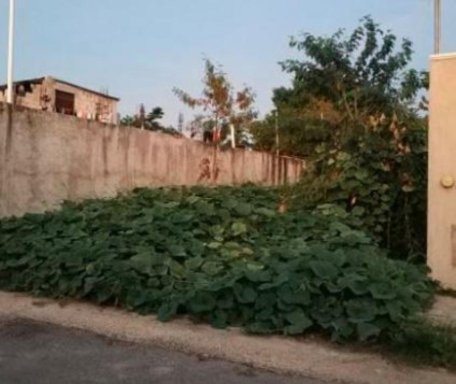 Foto Terreno en Venta en Mrida, Yucatan - $ 850.000 - TEV298984 - BienesOnLine