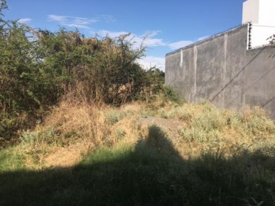 Terreno en Venta en 8 de Julio, Guadalajara, Jalisco - $  -  TEV265835 - BienesOnLine