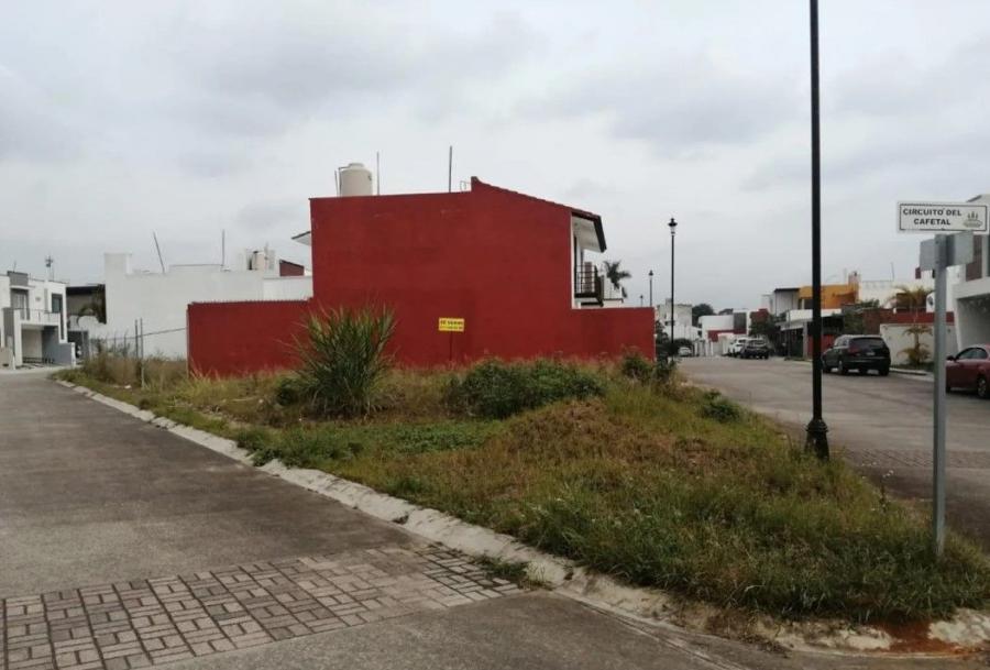 Foto Terreno en Venta en Trinidad Chica, Córdoba, Veracruz - $ 875.000 - TEV356136 - BienesOnLine