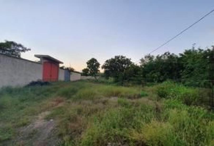 Foto Terreno en Venta en NORA QUINTANA, Mérida, Yucatan - $ 178.200 - TEV305583 - BienesOnLine