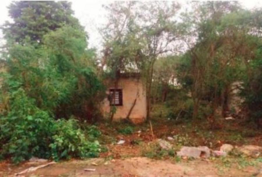 Foto Terreno en Venta en SANTA CRUZ PALOMEQUE, Mérida, Yucatan - $ 270.000 - TEV294746 - BienesOnLine