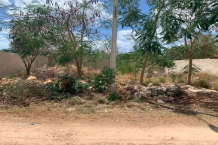 Foto Terreno en Venta en TIXCACAL OPICHÉN, Mérida, Yucatan - $ 325.000 - TEV294626 - BienesOnLine