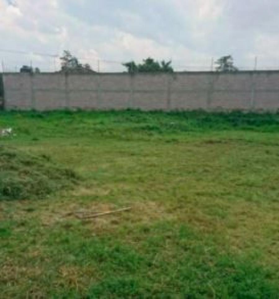 Foto Terreno en Venta en MISNÉ, Mérida, Yucatan - $ 500.000 - TEV307026 - BienesOnLine