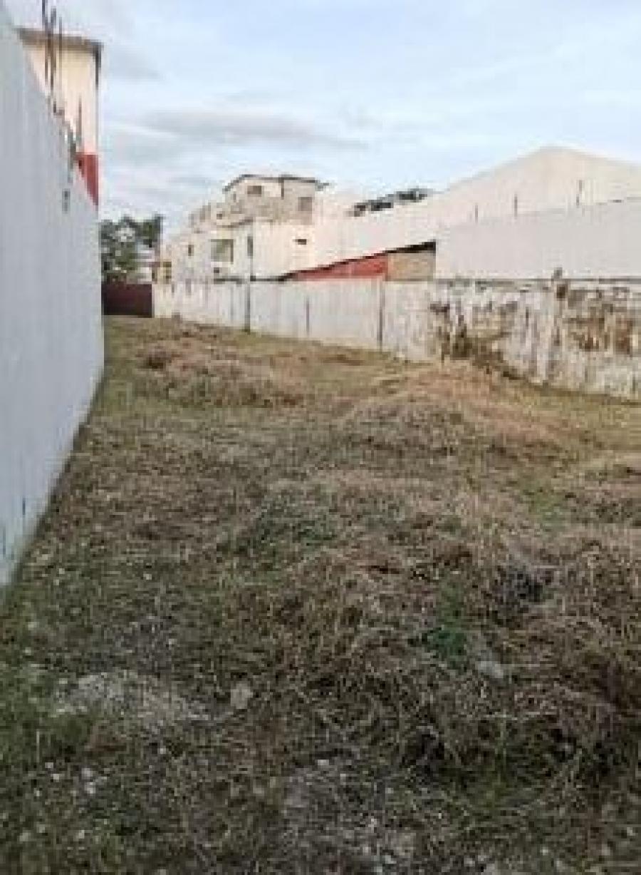 Foto Terreno en Venta en WALLIS, Mérida, Yucatan - $ 295.000 - TEV310179 - BienesOnLine