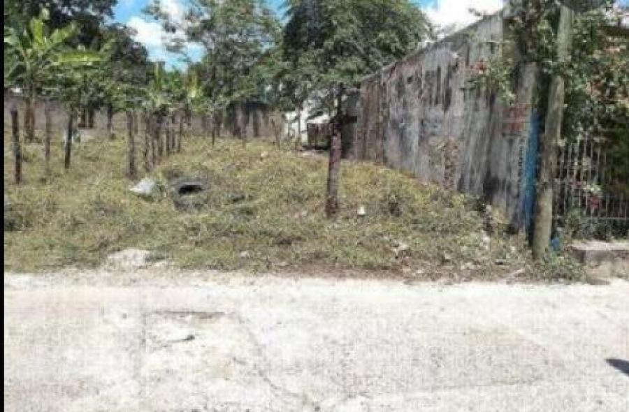 Foto Terreno en Venta en MARIA LUISA, Mérida, Yucatan - $ 395.000 - TEV315152 - BienesOnLine