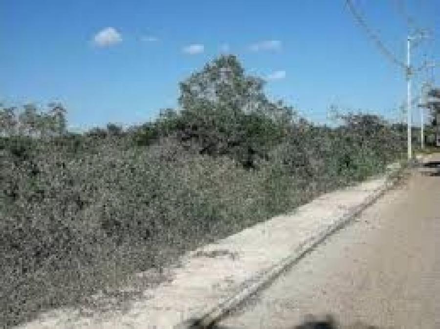 Foto Terreno en Venta en Mérida, Yucatan - $ 320.000 - TEV284591 - BienesOnLine