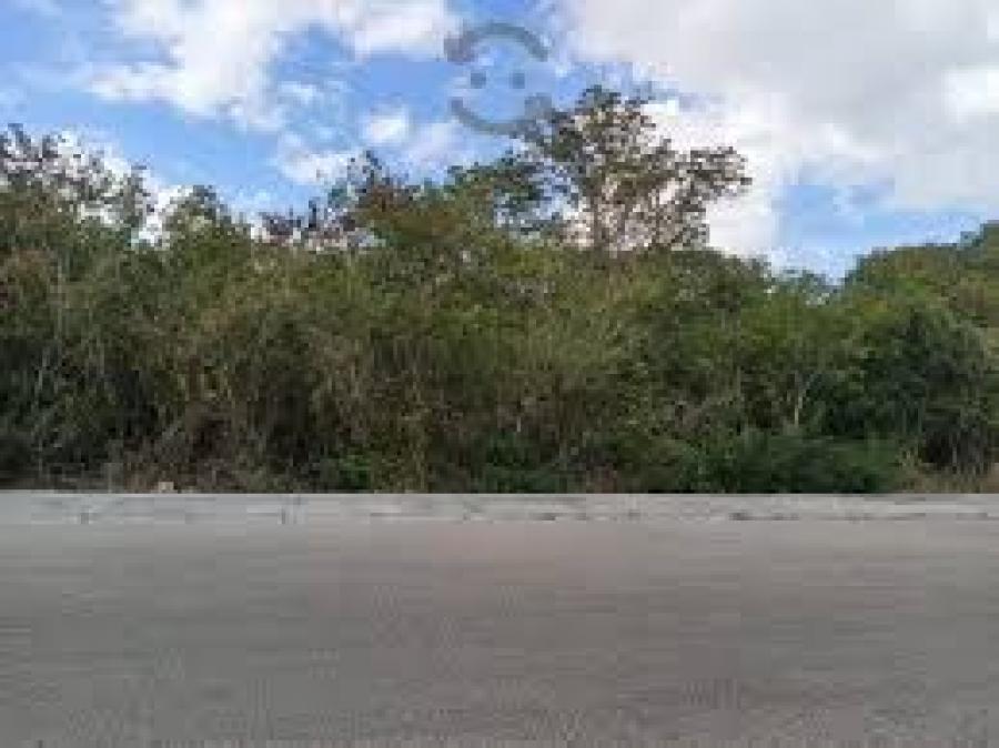 Foto Terreno en Venta en LA GUADALUPANA, Mérida, Yucatan - $ 245.000 - TEV284079 - BienesOnLine