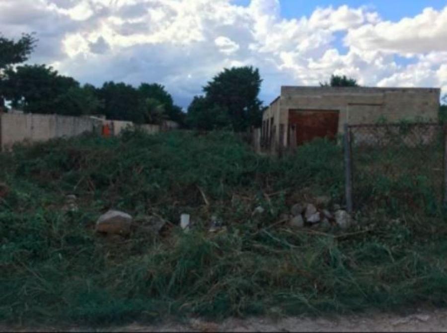 TERRENO EN VENTA UMAN