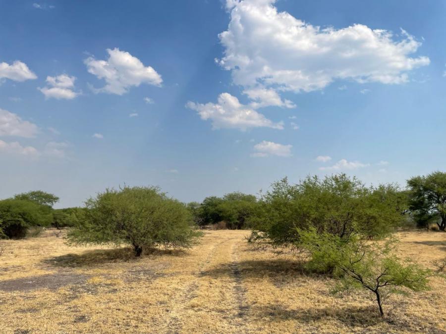 Foto Terreno en Venta en Venustiano Carranza, Venustiano Carranza, Michoacan de Ocampo - $ 65.000.000 - TEV355026 - BienesOnLine