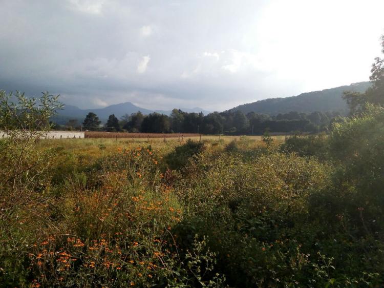 Terreno plano ideal para desarrollar con vista panorámica cerca de la Reserva y a 10 min del pueblo