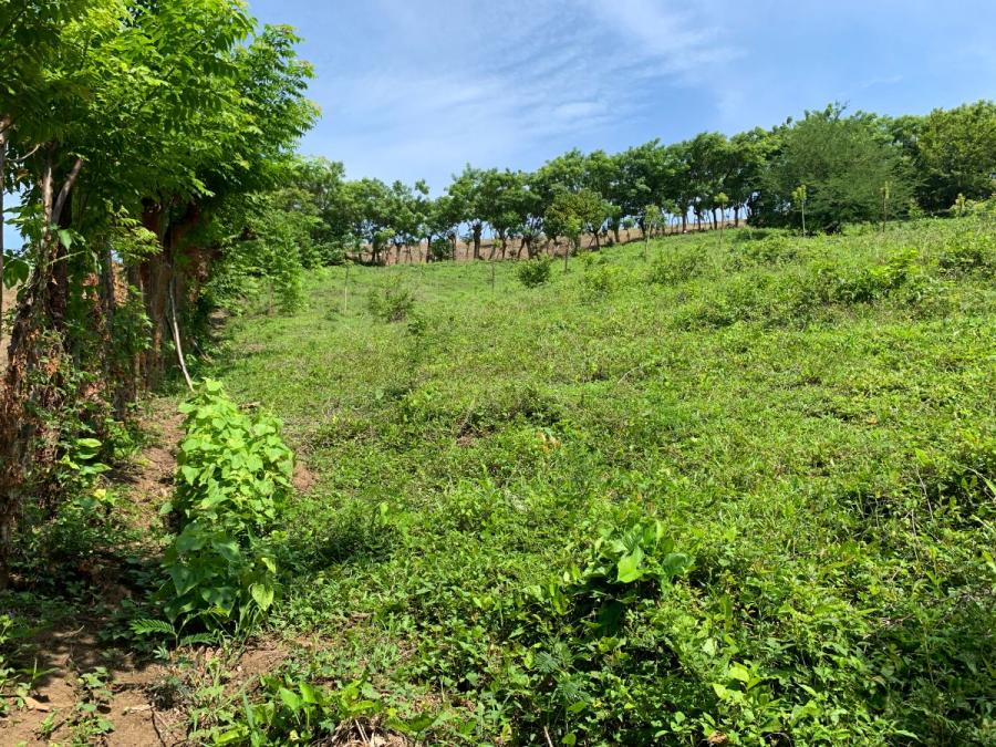 Foto Terreno en Venta en Cerro Amarillo, San Andrés Tuxtla, Veracruz - $ 29.676 - TEV355793 - BienesOnLine