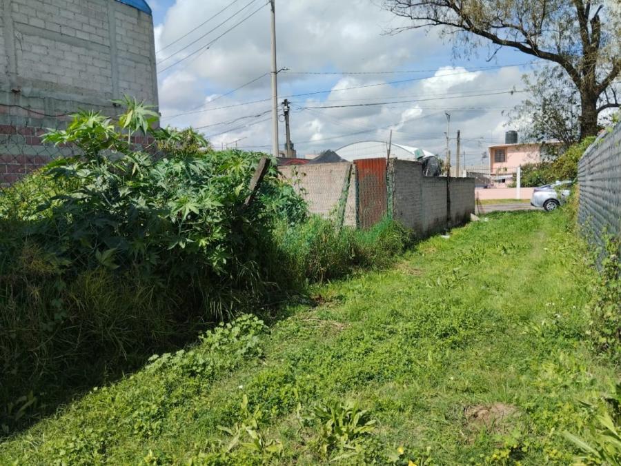 Foto Terreno en Venta en San Bernardino, Texcoco de Mora, Mexico - $ 610.000 - TEV357129 - BienesOnLine