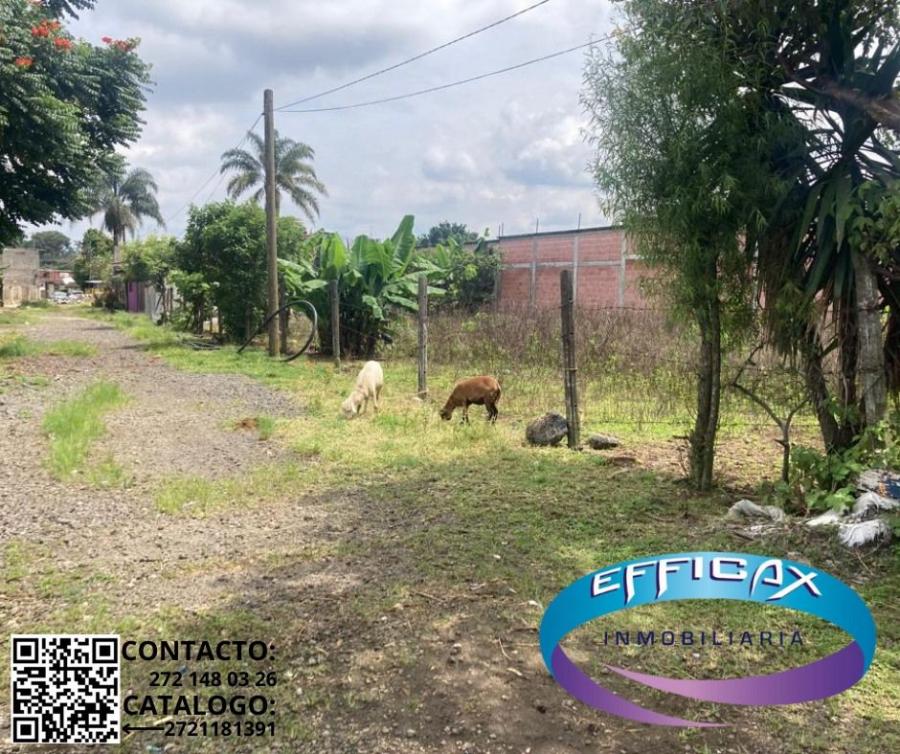 Foto Terreno en Venta en Escamela, Ixtaczoquitln, Veracruz - $ 500.000 - TEV356965 - BienesOnLine