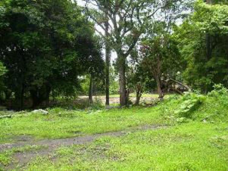 Foto Terreno en Venta en Acapantzingo, Cuernavaca, Morelos - $ 167.760.000 - TEV70025 - BienesOnLine