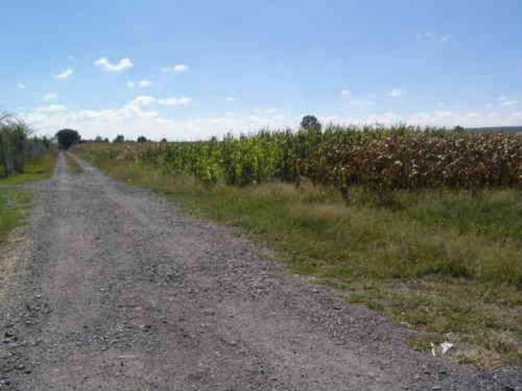 Terreno en venta frente a Tec Milenio