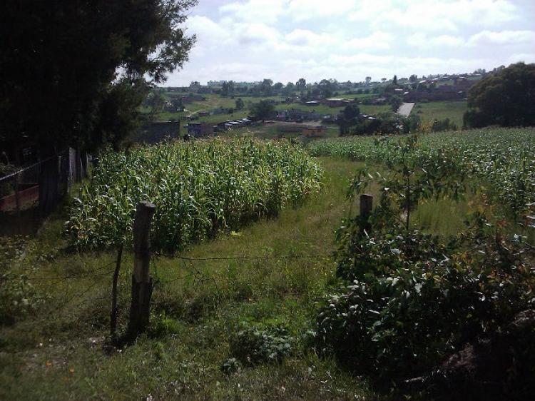 Foto Terreno en Venta en SALIDA A PATZCUARO, , Michoacan de Ocampo - $ 1.150.000 - TEV49515 - BienesOnLine