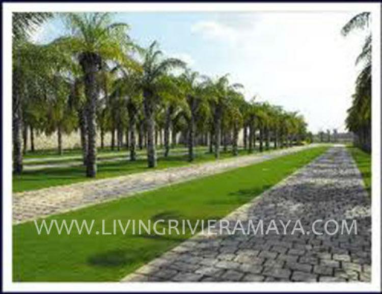 Foto Terreno en Venta en Aldea Zama, Tulum, Quintana Roo - U$D 80.000 - TEV60293 - BienesOnLine