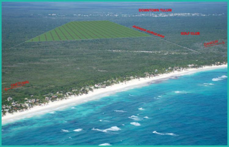 Foto Terreno en Venta en Reserva Territorial, Tulum, Quintana Roo - U$D 900.000 - TEV61966 - BienesOnLine