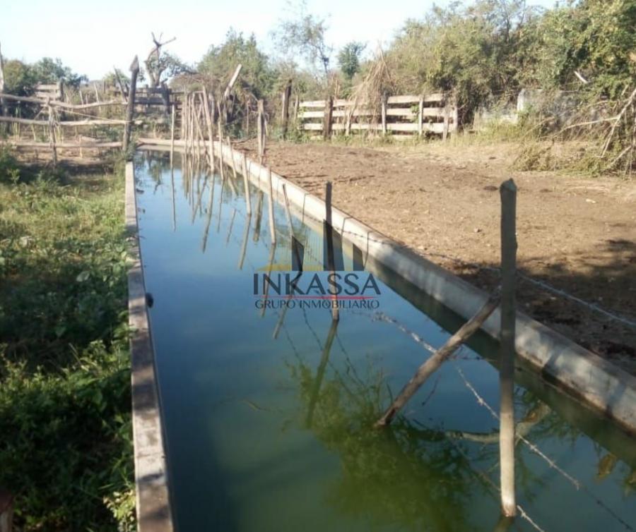 terrenos en escuinapa