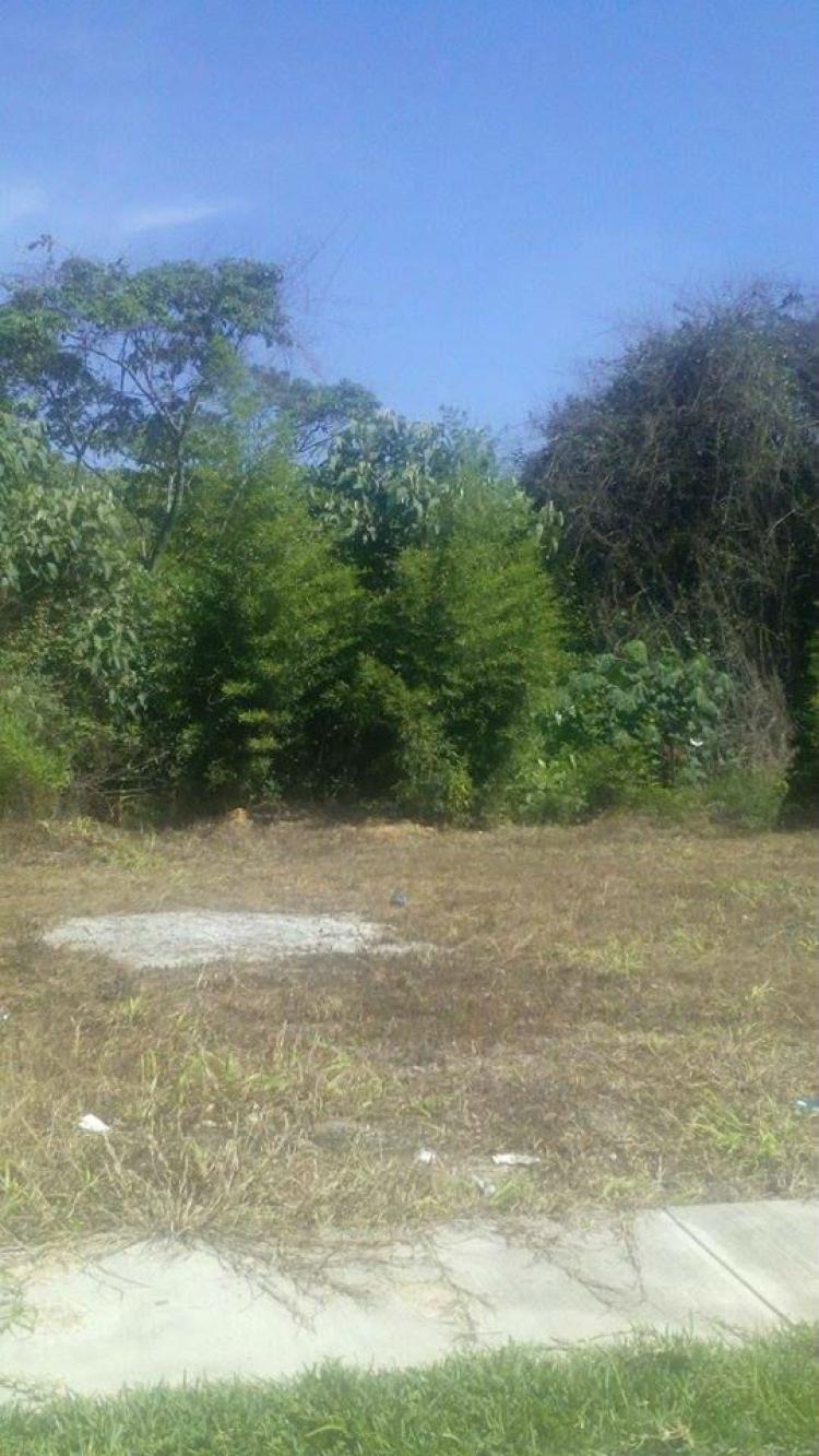 Foto Terreno en Venta en EL DORADO., Córdoba, Veracruz - $ 260 - TEV143302 - BienesOnLine