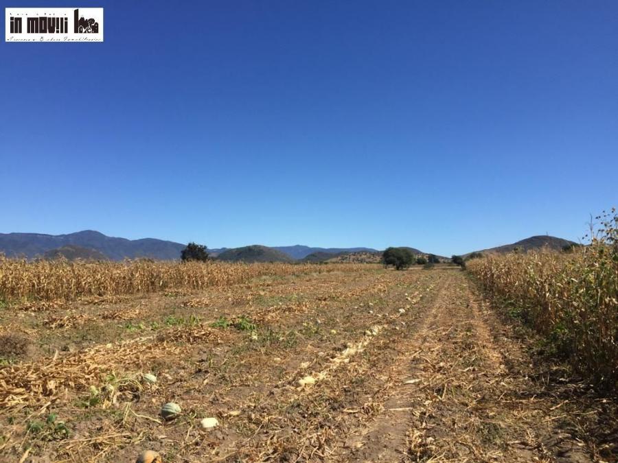 Foto Terreno en Venta en Tlacolula de Matamoros, Oaxaca - $ 400.000 - TEV354030 - BienesOnLine