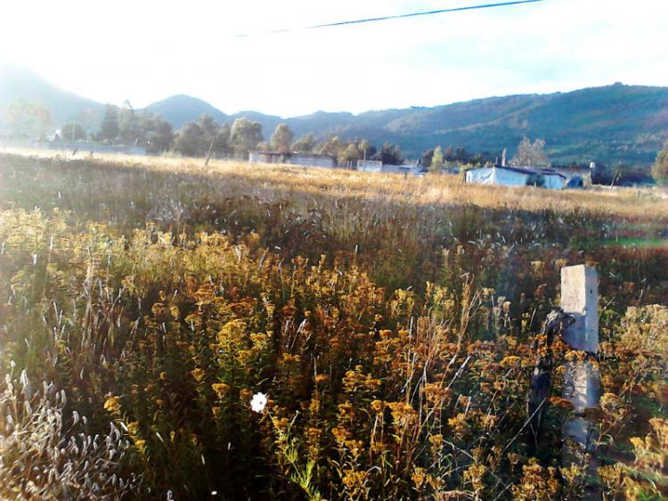 Vendo Bonito Terreno en Tenancingo