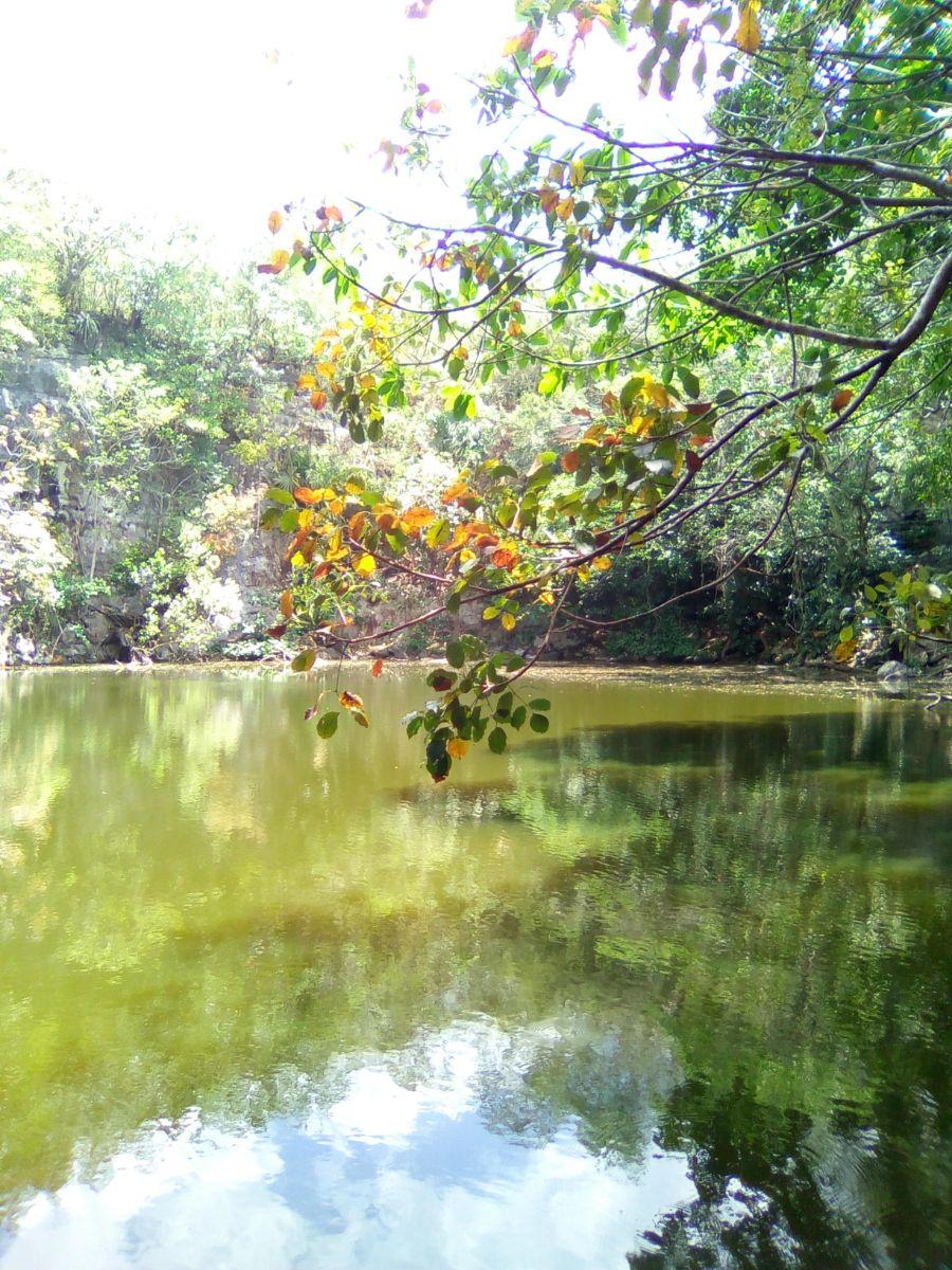 Vendo een Yucatan hermoso terreno con cenote y rejoyada