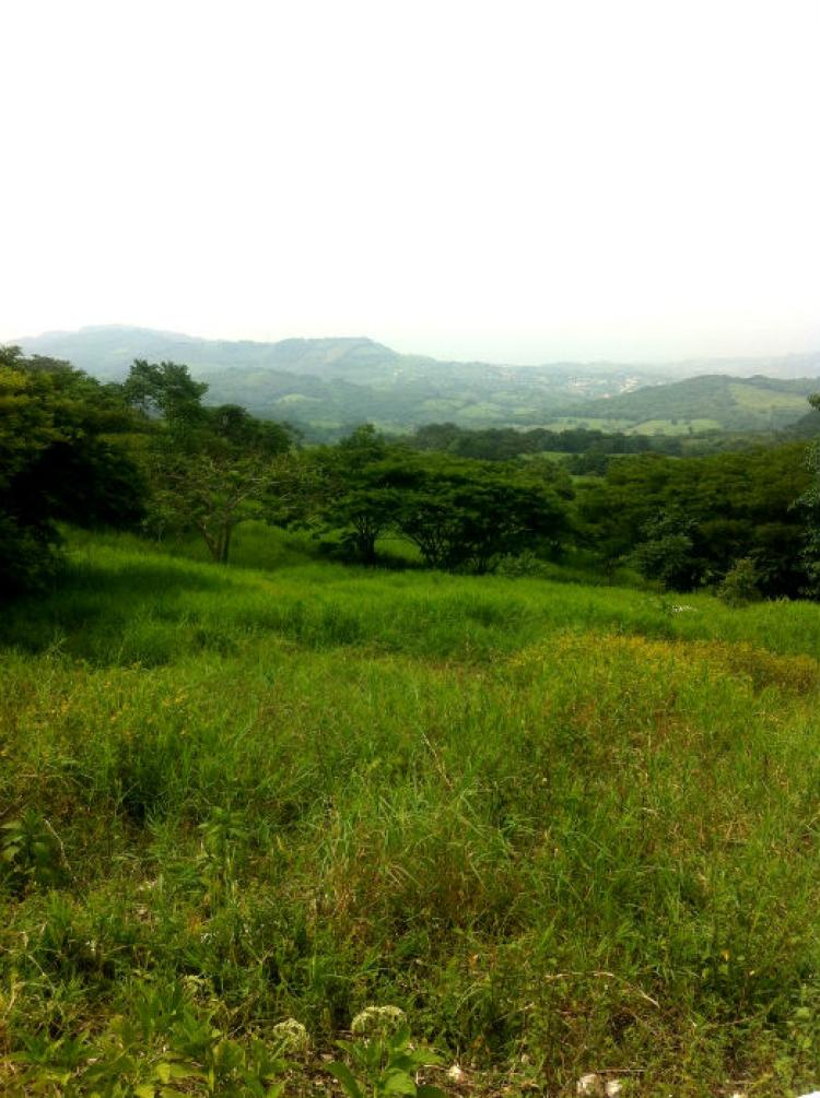 Foto Rancho en Venta en SAN FERNANDO CHIAPAS, San Fernando, Chiapas - $ 800.000 - RAV81777 - BienesOnLine