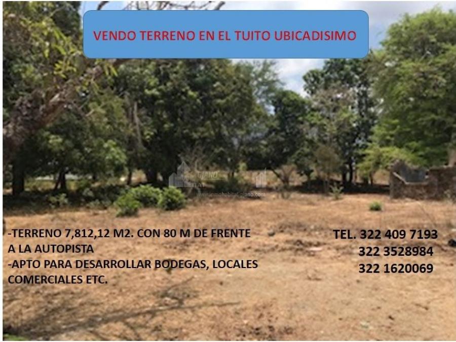 Foto Terreno en Venta en TUITO, CABO CORRIENTES, Jalisco - $ 8.000.000 - TEV355832 - BienesOnLine