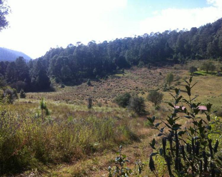 Vendo terrenos en Valle de Bravo_Delicias