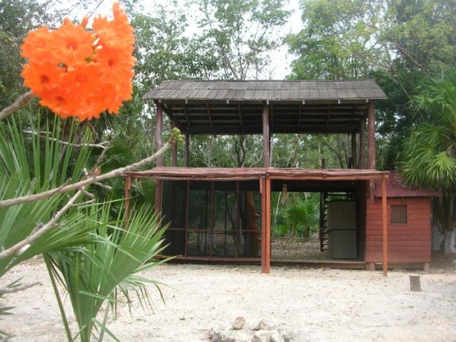 Foto Terreno en Venta en chetumal, pedro antonio, Quintana Roo - $ 3.900.000 - TEV254692 - BienesOnLine