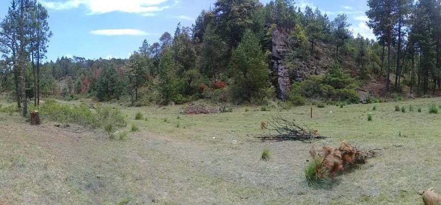 Foto Terreno en Venta en Camotepec, Puebla - 11 hectareas - $ 2.700.000 - TEV357217 - BienesOnLine