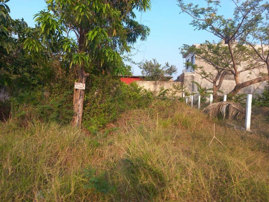 Foto Terreno en Venta en Presidio, Veracruz - $ 275.000 - TEV347163 - BienesOnLine