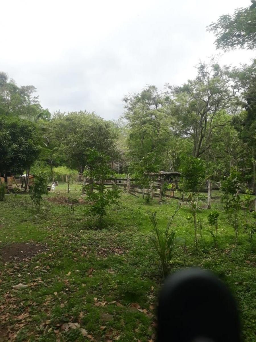 Foto Finca en Venta en escameca collado, Rivas - FIV1200 - BienesOnLine