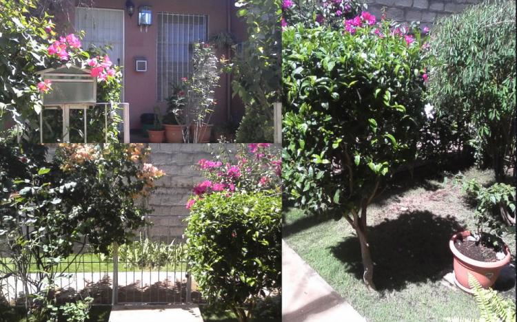 Foto Casa en Venta en La Pintora., León, León - U$D 26.000 - CAV180 - BienesOnLine