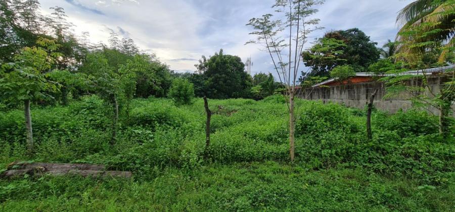 Foto Lote en Venta en Managua, Managua - U$D 30.000 - LOV1229 - BienesOnLine