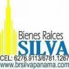 Bienes Raices Silva