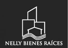 NELLY BIENES RAICES