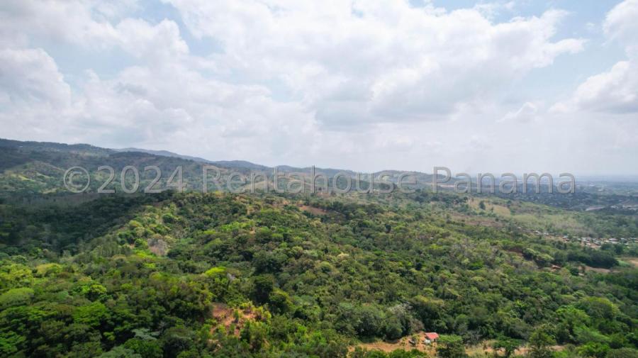 Foto Terreno en Venta en panama, Panamá - U$D 1.221.000 - TEV74114 - BienesOnLine