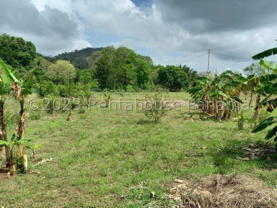 Foto Finca en Venta en Capira, Panamá - U$D 19.697 - FIV75438 - BienesOnLine