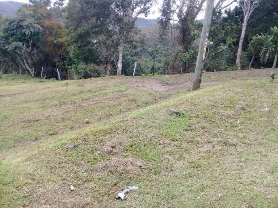 Foto Terreno en Venta en El Valle, Coclé - U$D 57.755 - TEV75400 - BienesOnLine