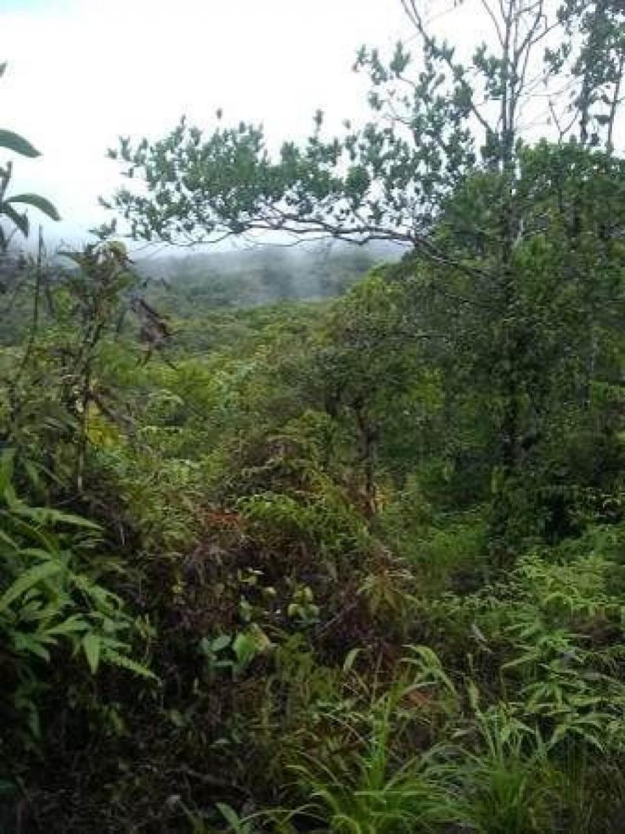 Land in Cerro Azul, Altos de Pacora, Panama