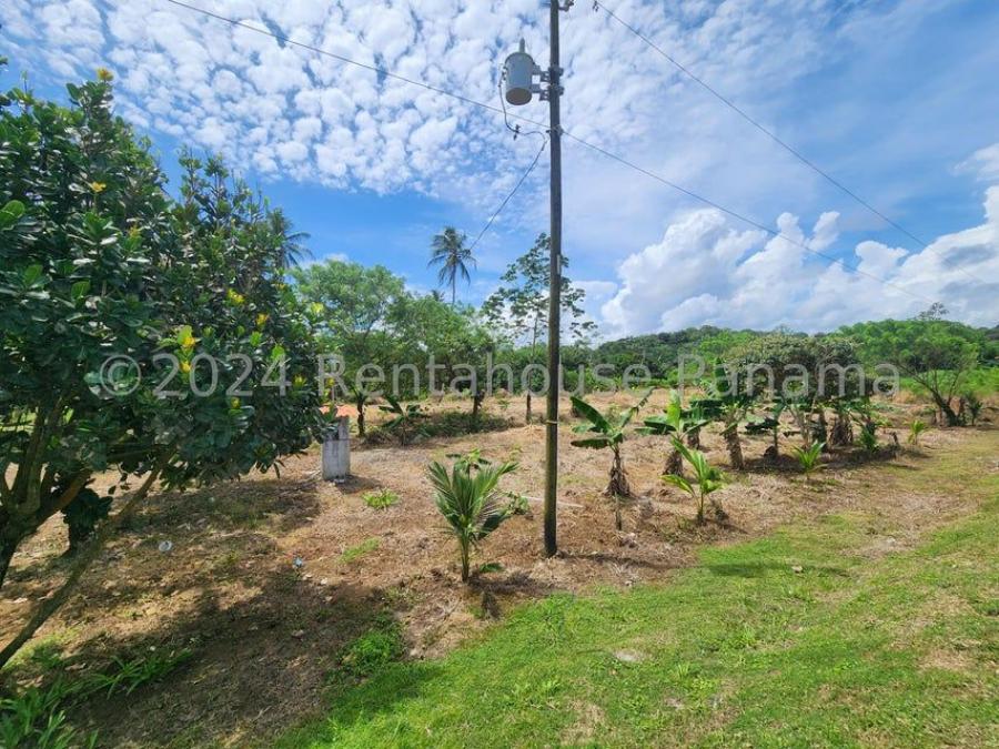 Foto Terreno en Venta en Donoso, Colón - U$D 45.000 - TEV75682 - BienesOnLine