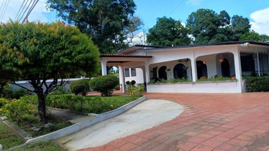 Foto Casa en Alquiler en David, Las Lomas, Chiriquí - U$D 1.300 - CAA73168 - BienesOnLine